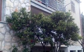 Apartmani Nevenka